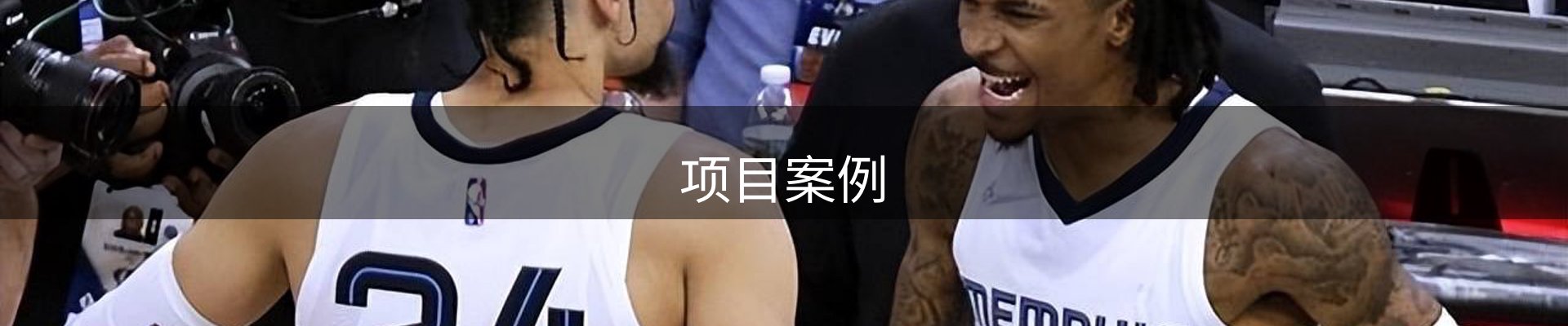 项目案例